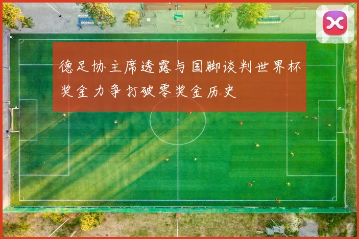 德足协主席透露与国脚谈判世界杯奖金力争打破零奖金历史
